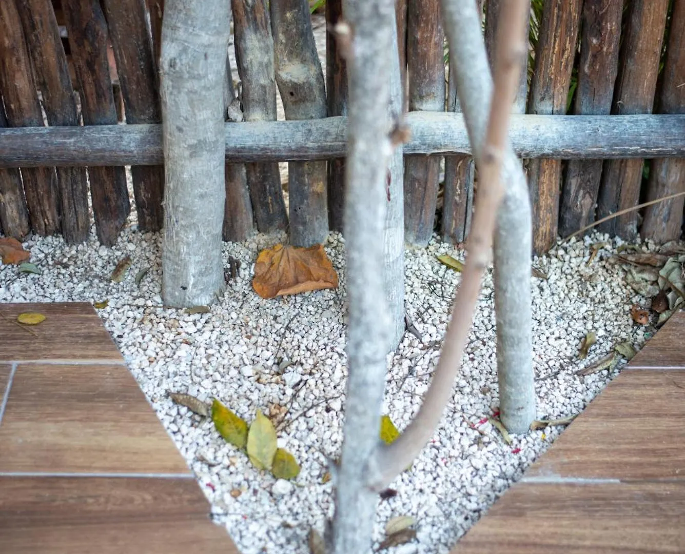La Veleta Getaway At Asana Leaf House Sleeps 12 Villa Tulum 0*,  Mexico