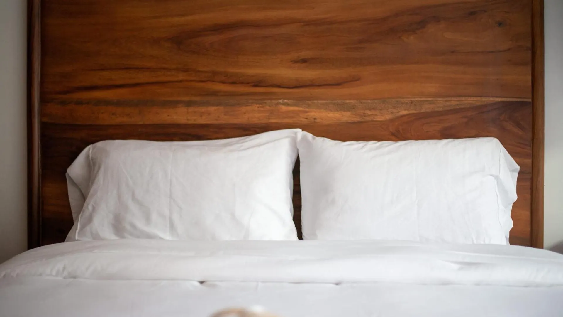 Holiday home La Veleta Getaway At Asana Leaf House Sleeps 12 Villa Tulum